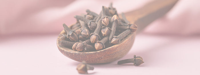 Clove