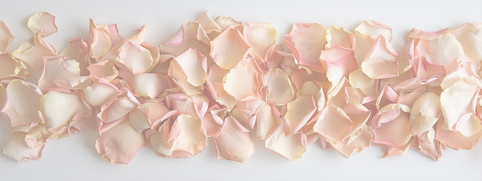 Rose Petals (pink)