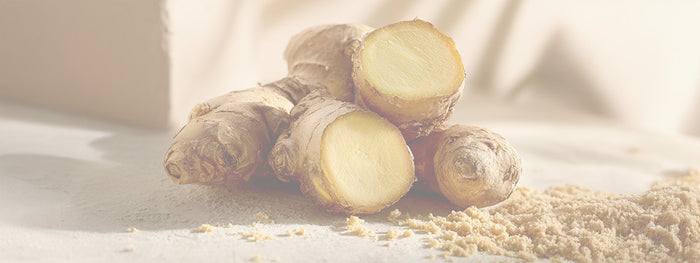 Ginger Root