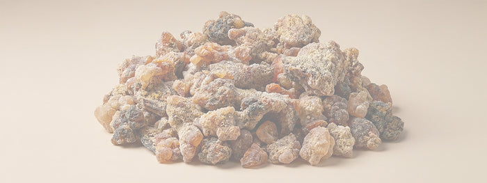 Pinyon Pine Resin