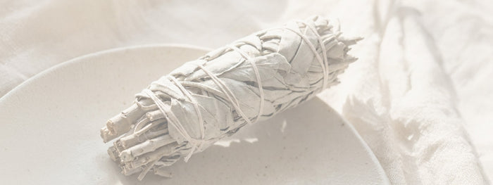 White Sage