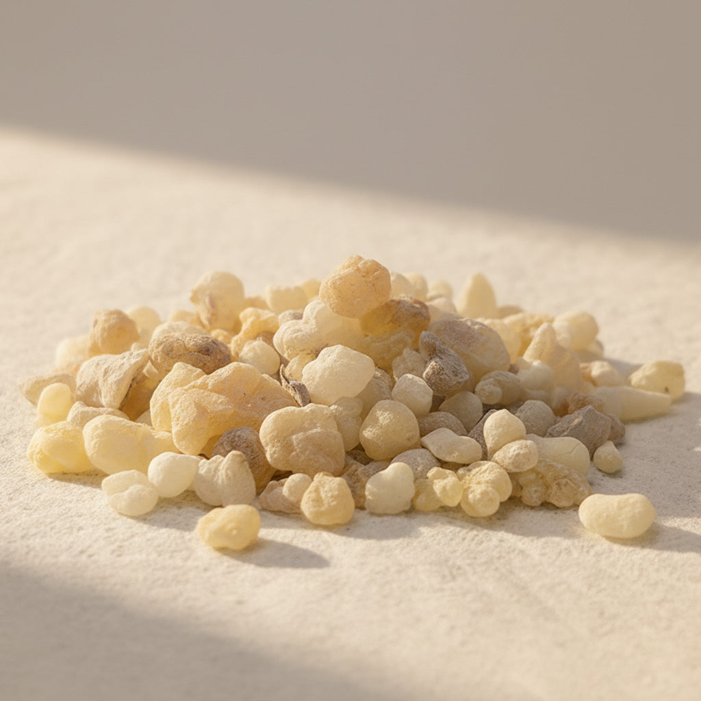 Close-up of Boswellia sacra frankincense small tears in soft sunlight, highlighting the resin’s warm, translucent tones