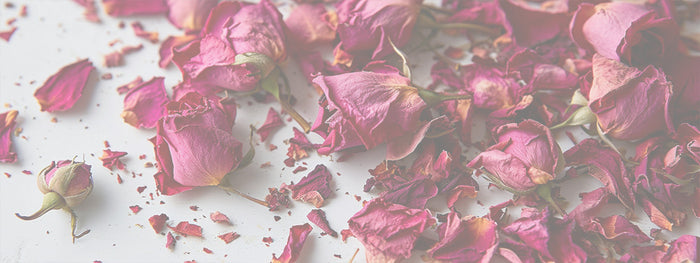 Rose Petals (red)