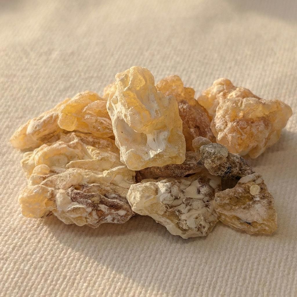 Maydi Mushaad Frankincense — Grade 1