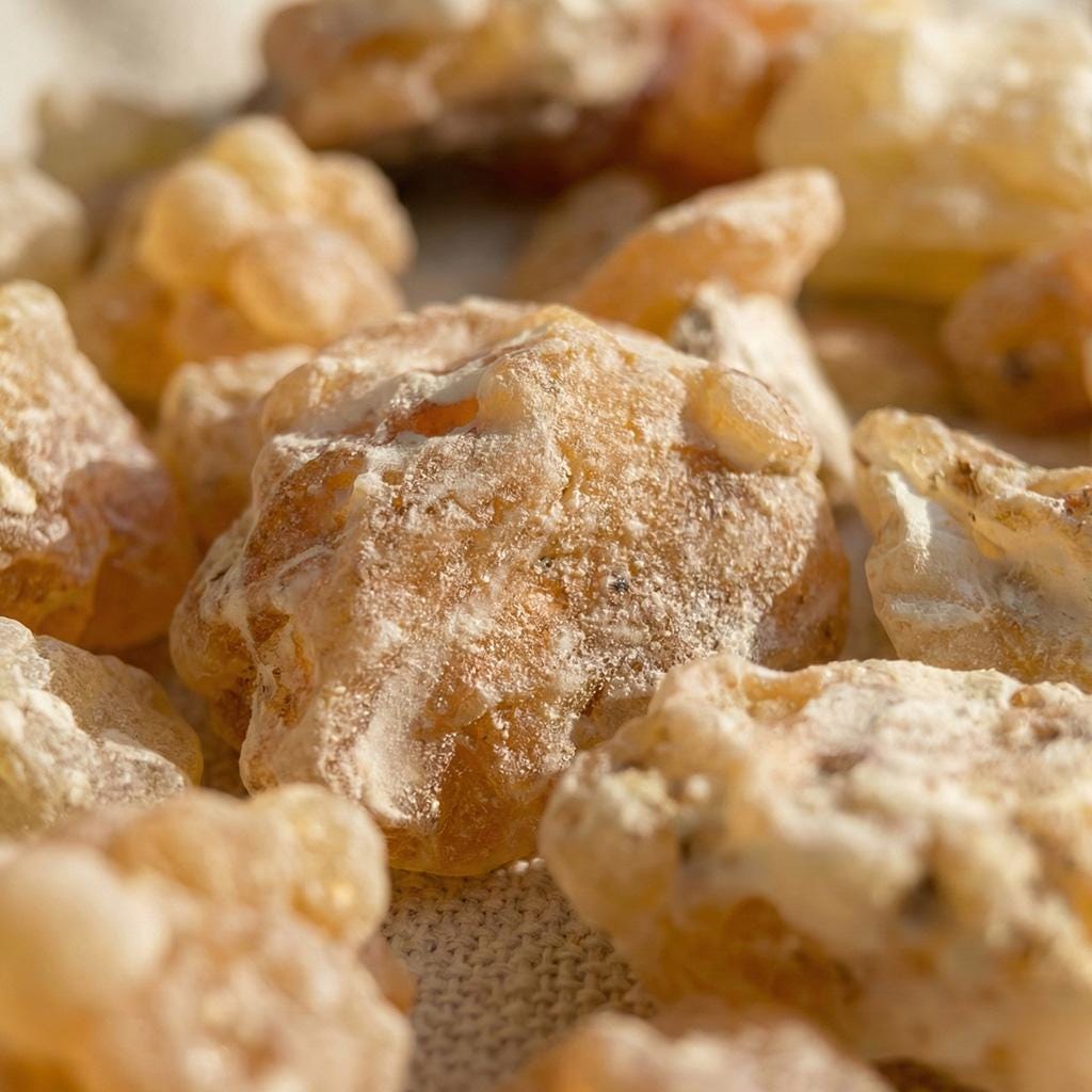 Maydi Mushaad Frankincense — Grade 1