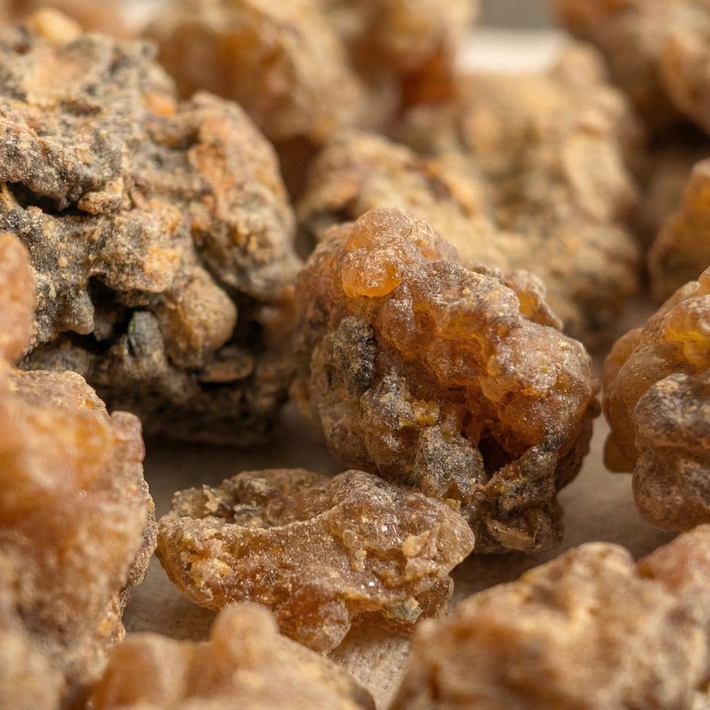 Close-up of large myrrh resin pieces