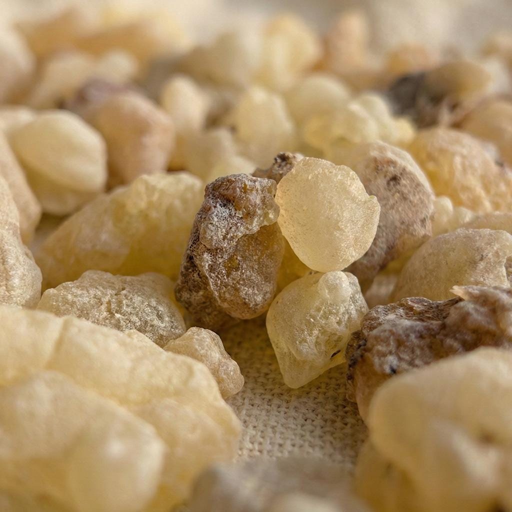 Beyo Frankincense — Grade 1 Large Tears