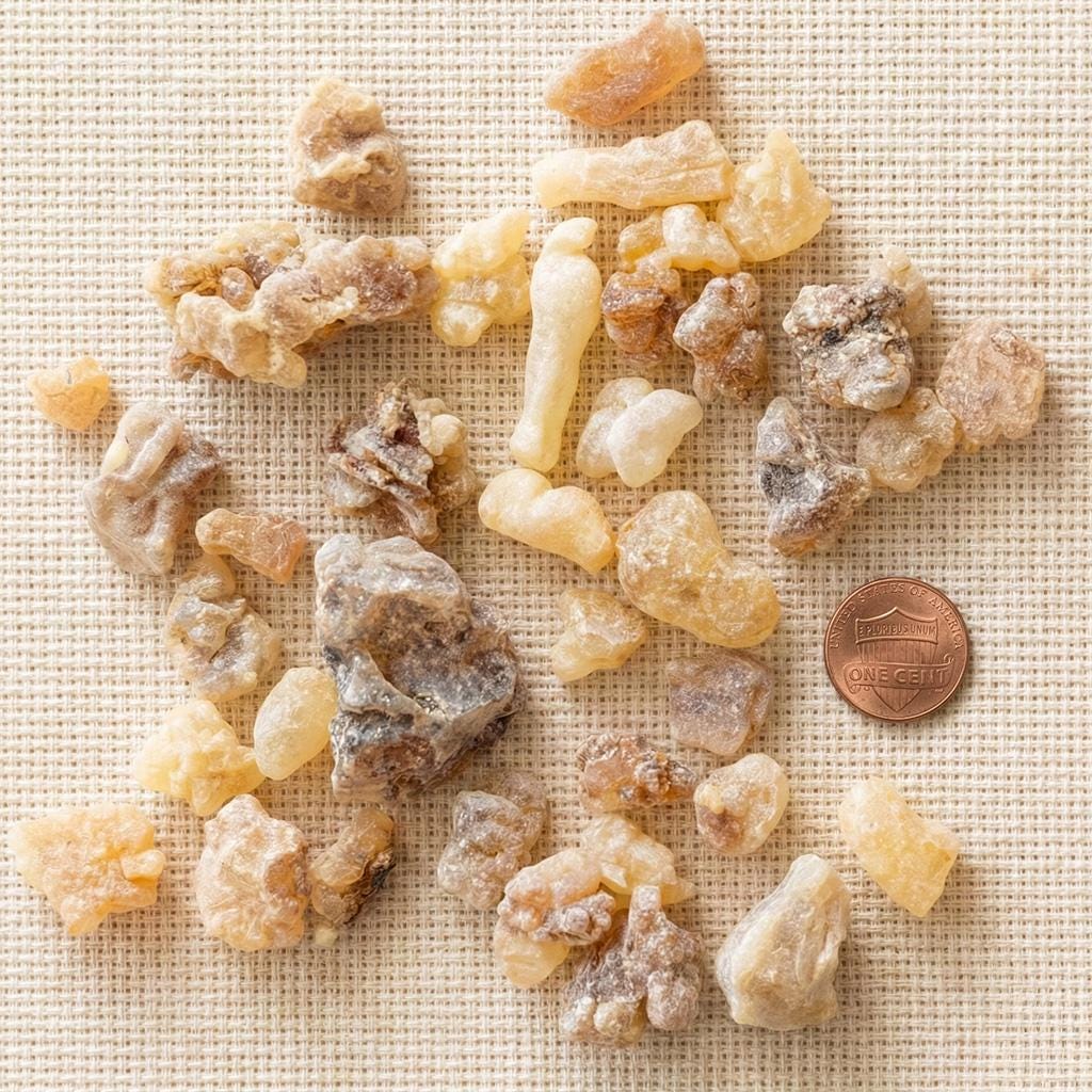 Beyo Frankincense — Grade 1 Large Tears