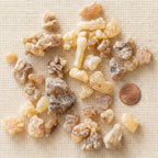Beyo Frankincense — Grade 1 Large Tears