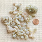 Royal Green Hojari Frankincense — Grade 1
