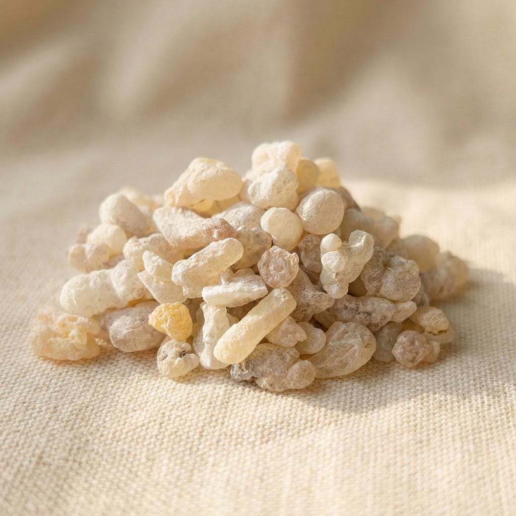 White Hojari Frankincense — Superior Grade