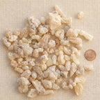 White Hojari Frankincense — Superior Grade