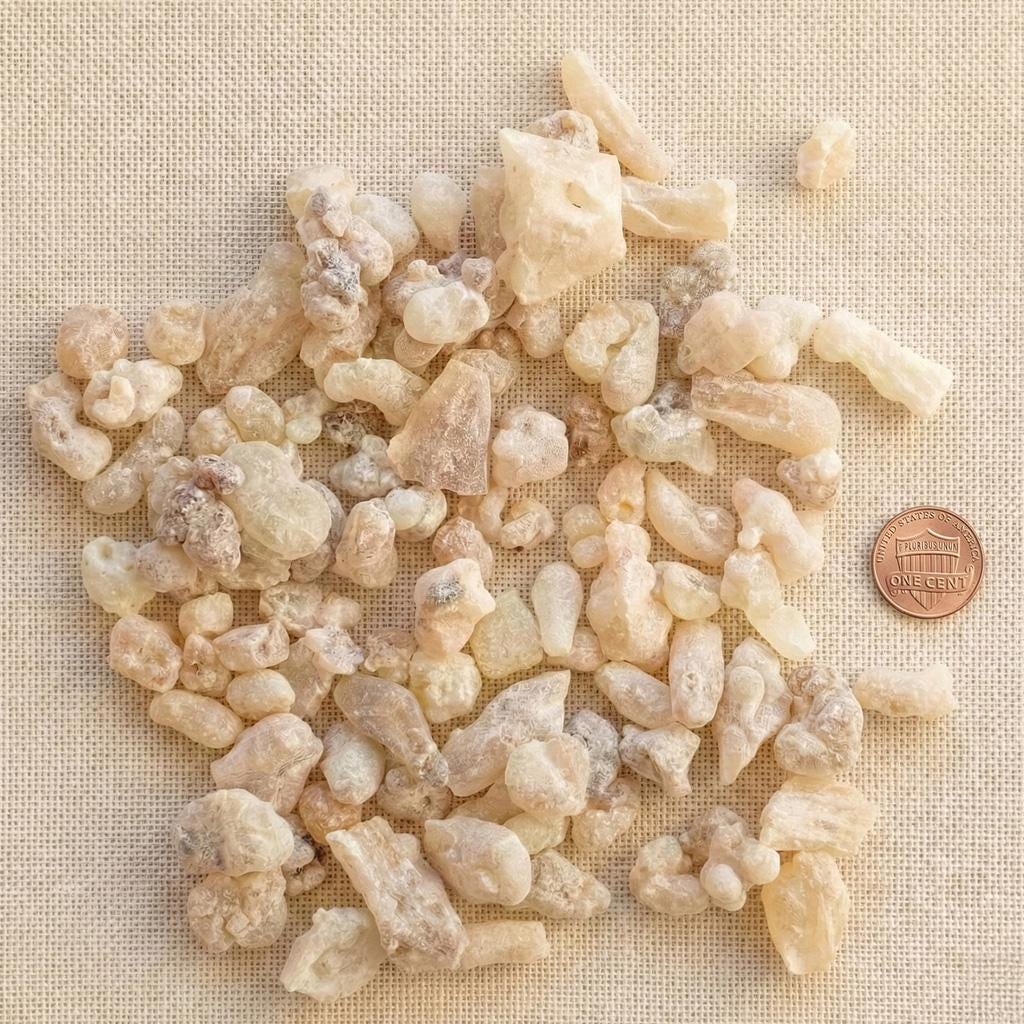 White Hojari Frankincense — Superior Grade
