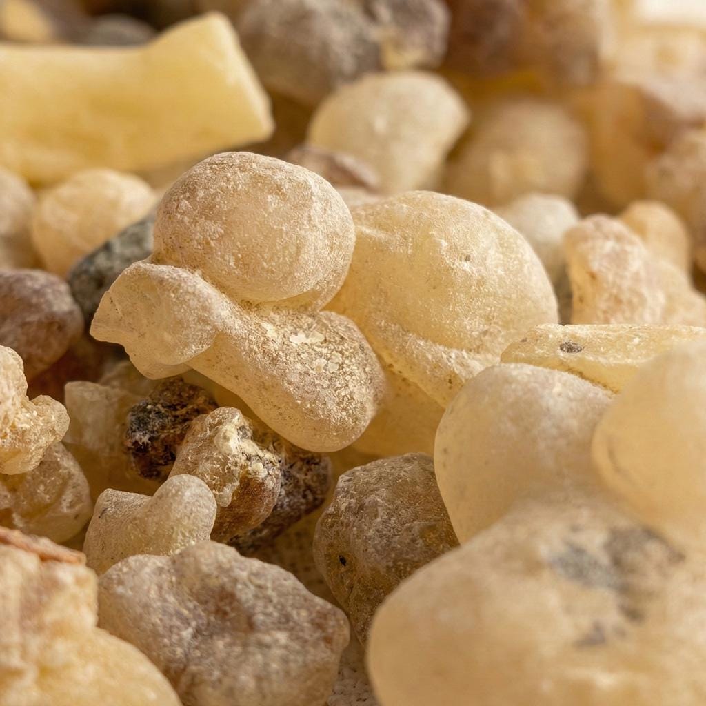 Indian Frankincense — Grade 1