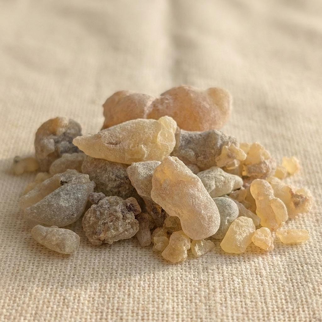 Indian Frankincense — Grade 1