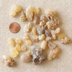 Indian Frankincense — Grade 1
