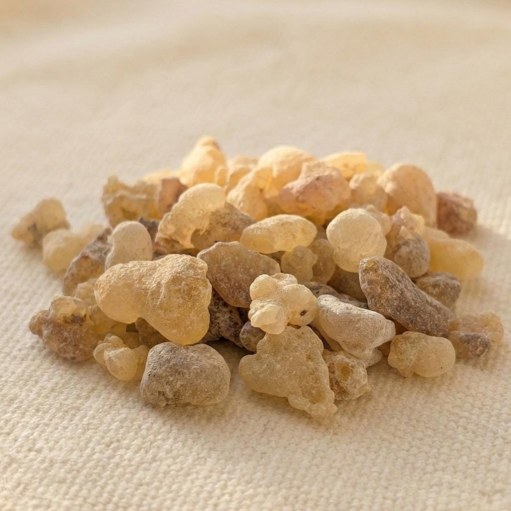 Beyo Frankincense — Grade 1 Large Tears