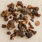 Opoponax Resin