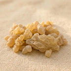 Boswellia papyrifera Frankincense — Grade 1