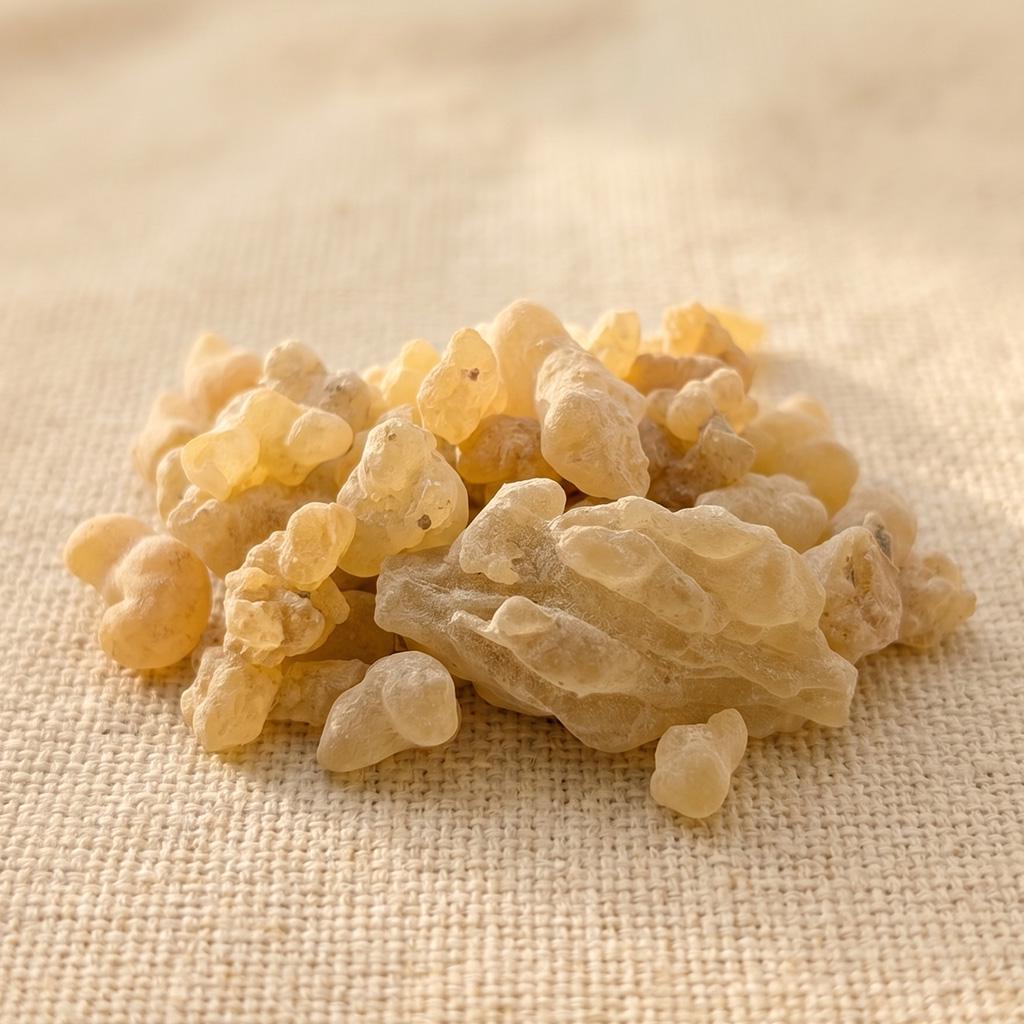 Boswellia papyrifera Frankincense — Grade 1