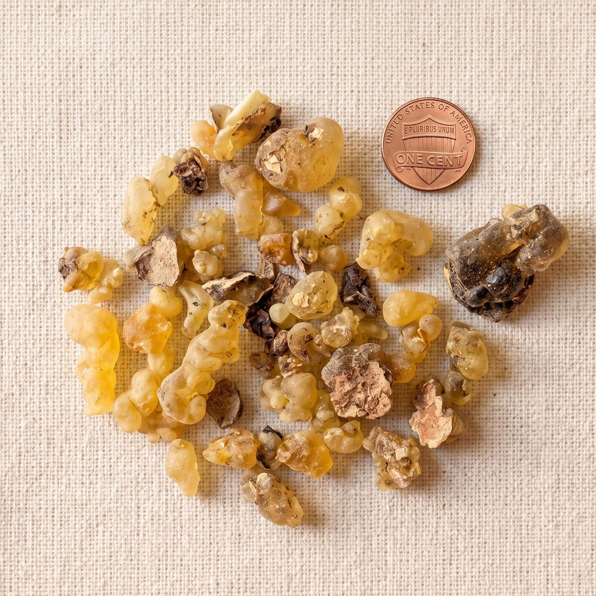 Boswellia occulta Frankincense — Mixed Grade 1 & 2