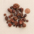 Dragon's Blood resin pieces beside a U.S. penny for scale