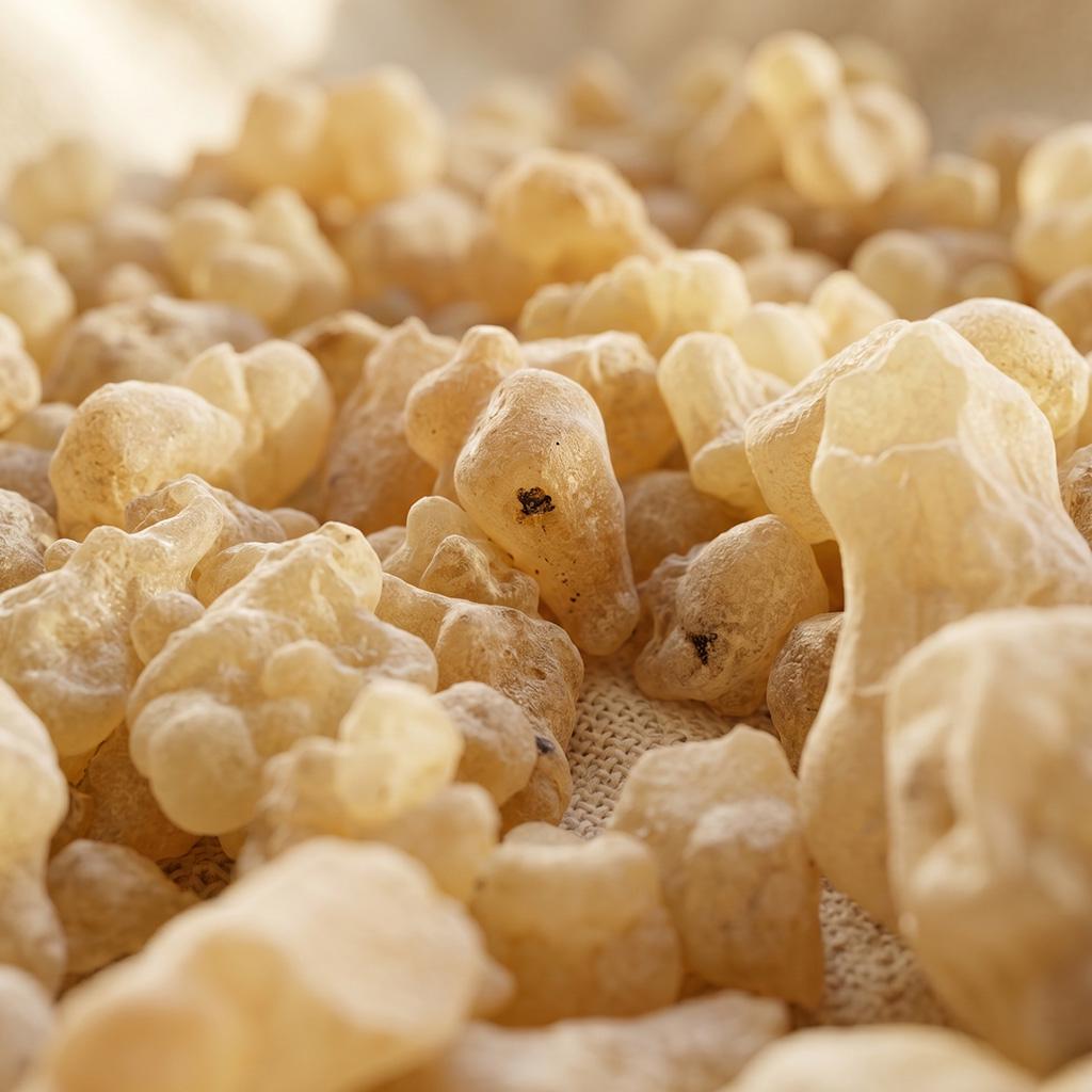 Boswellia papyrifera Frankincense — Grade 1