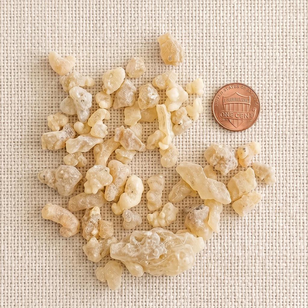Boswellia papyrifera Frankincense — Grade 1