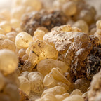 Boswellia occulta Frankincense — Mixed Grade 1 & 2