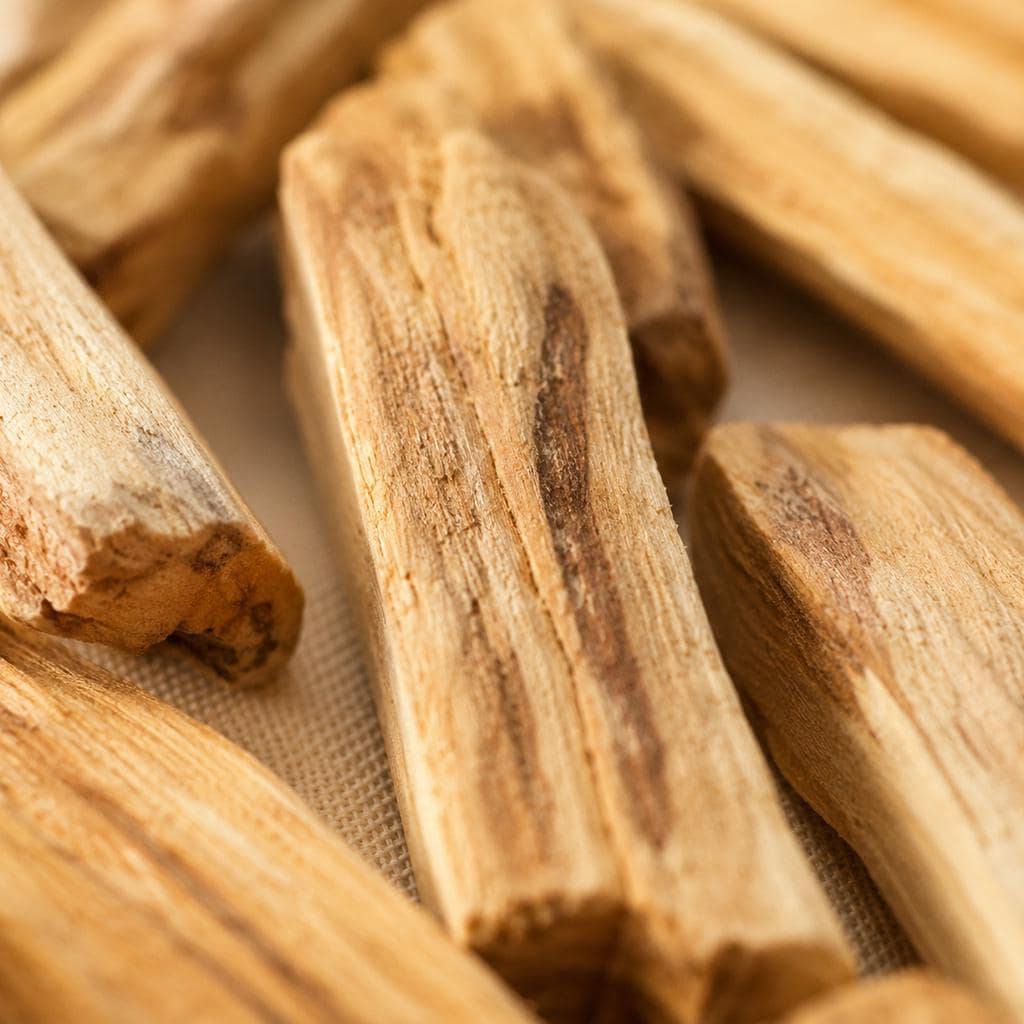 Close-up of Palo Santo sticks showing natural wood grain and color variation