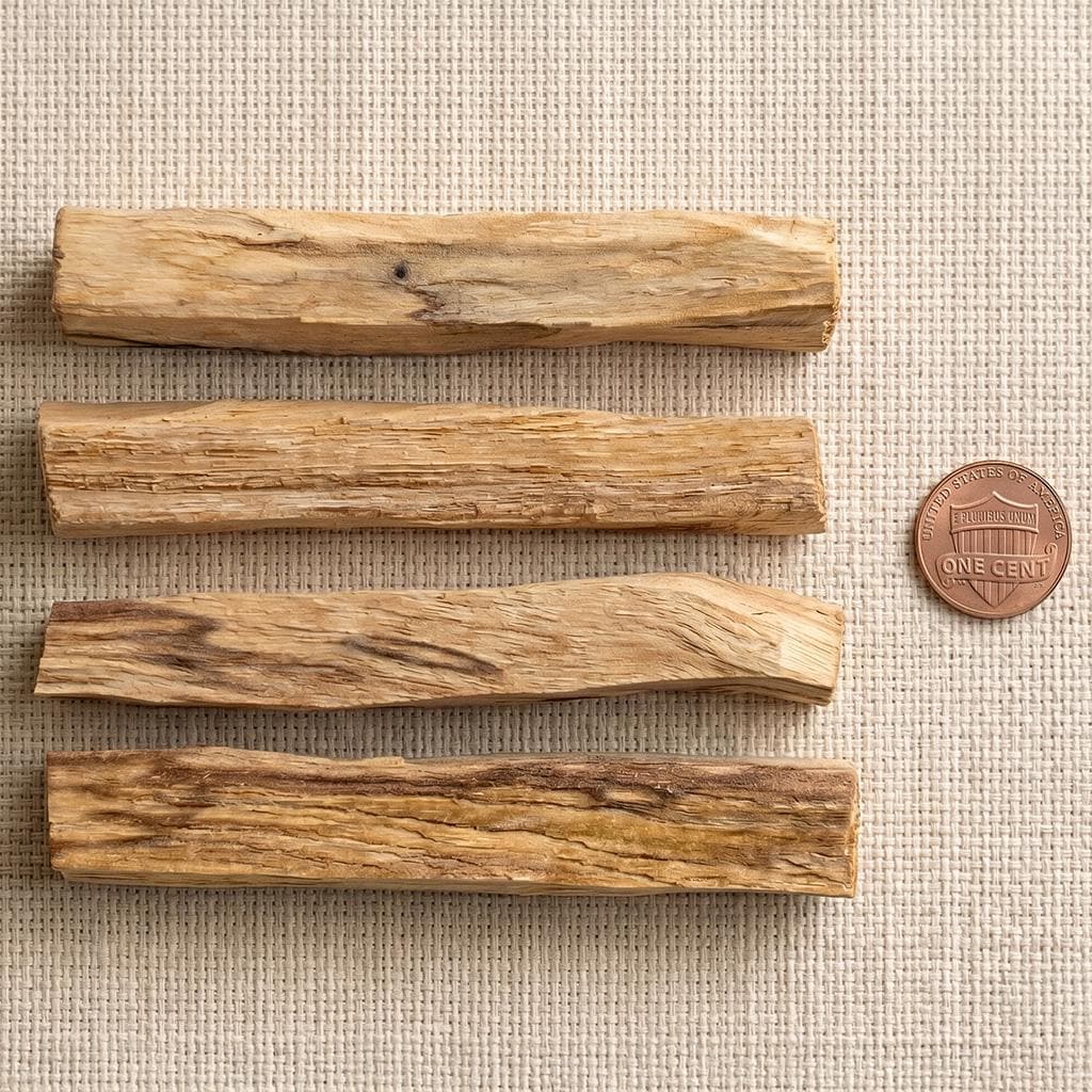 Palo Santo sticks beside a penny for size reference