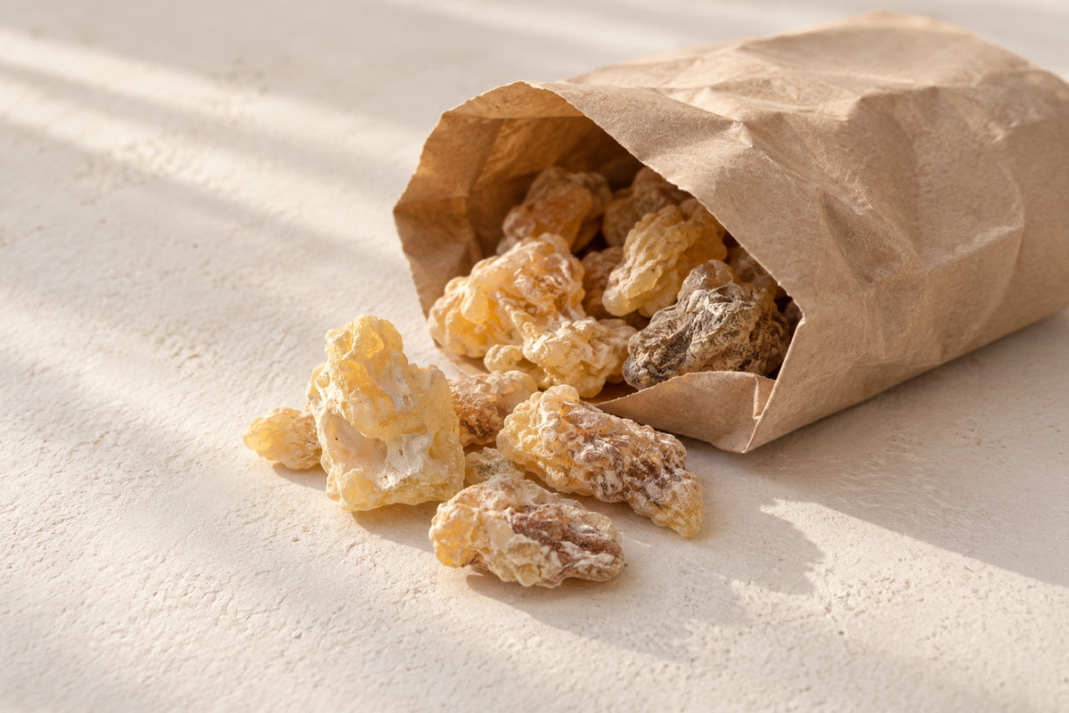 raw frankincense frereana resin in paper bag on cream surface