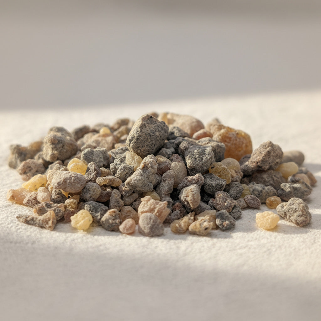 Close-up of Frankincense Rivae resin tears from Ethiopia and Somalia, small amber and brown granules on a neutral background.