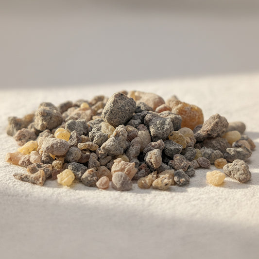 Close-up of Frankincense Rivae resin tears from Ethiopia and Somalia, small amber and brown granules on a neutral background.